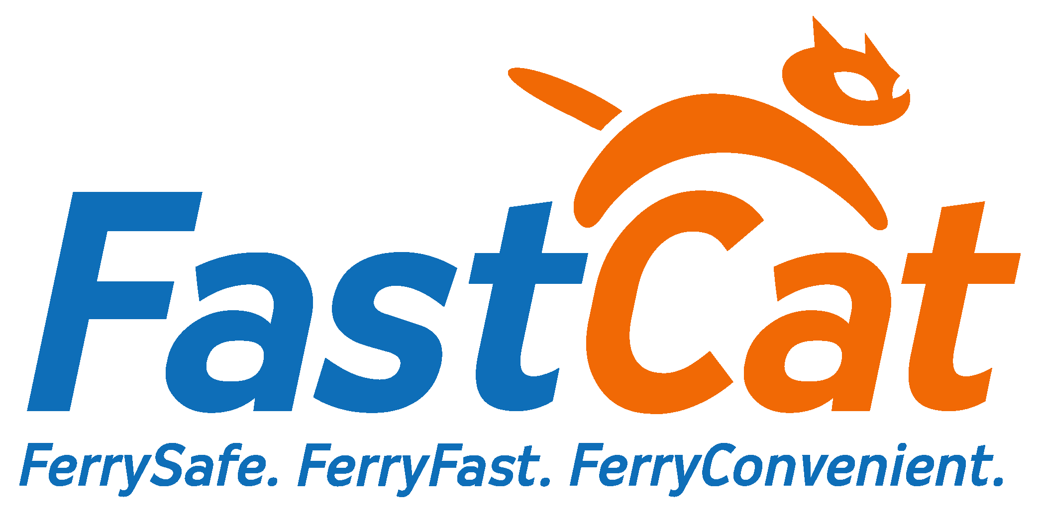 Logo of FastCat System
